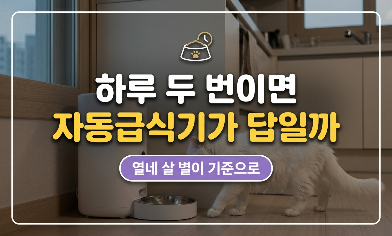 노령묘 자동급식기 썸네일