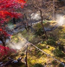 화담숲 예약: 한국의 고요한 수목원을 방문하는 방법&amp;#44; 입장료&amp;#44; 그리고 계절별 팁