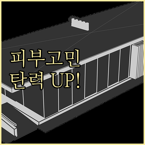 피부 고민 맞춤 해결: 타입별 리프팅..