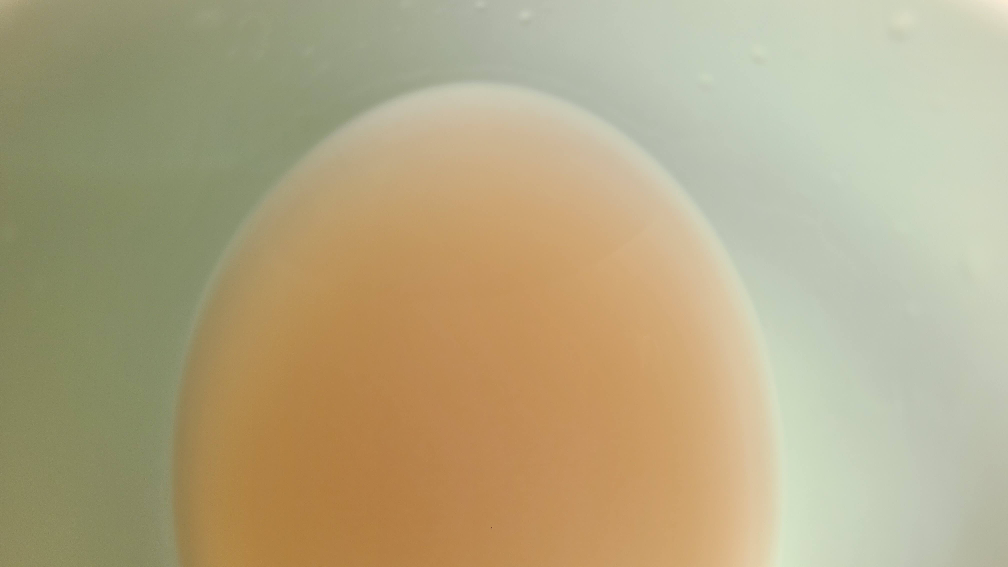 하늘청-유기농-밥-알-없이-맑은-식혜-맛