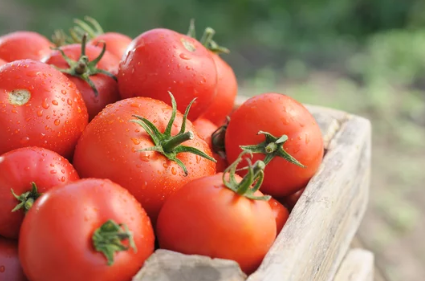 전립선에 좋은 음식과 암 예방 수칙 필독!