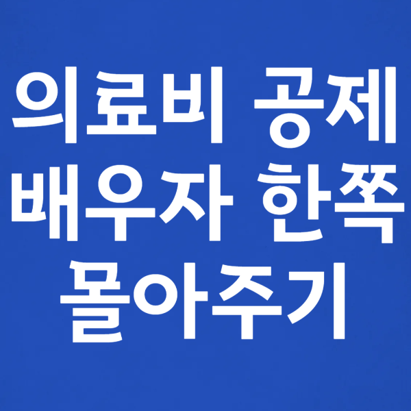 연말정산 의료비 공제를 배우자 한쪽으로 몰아주기 전략