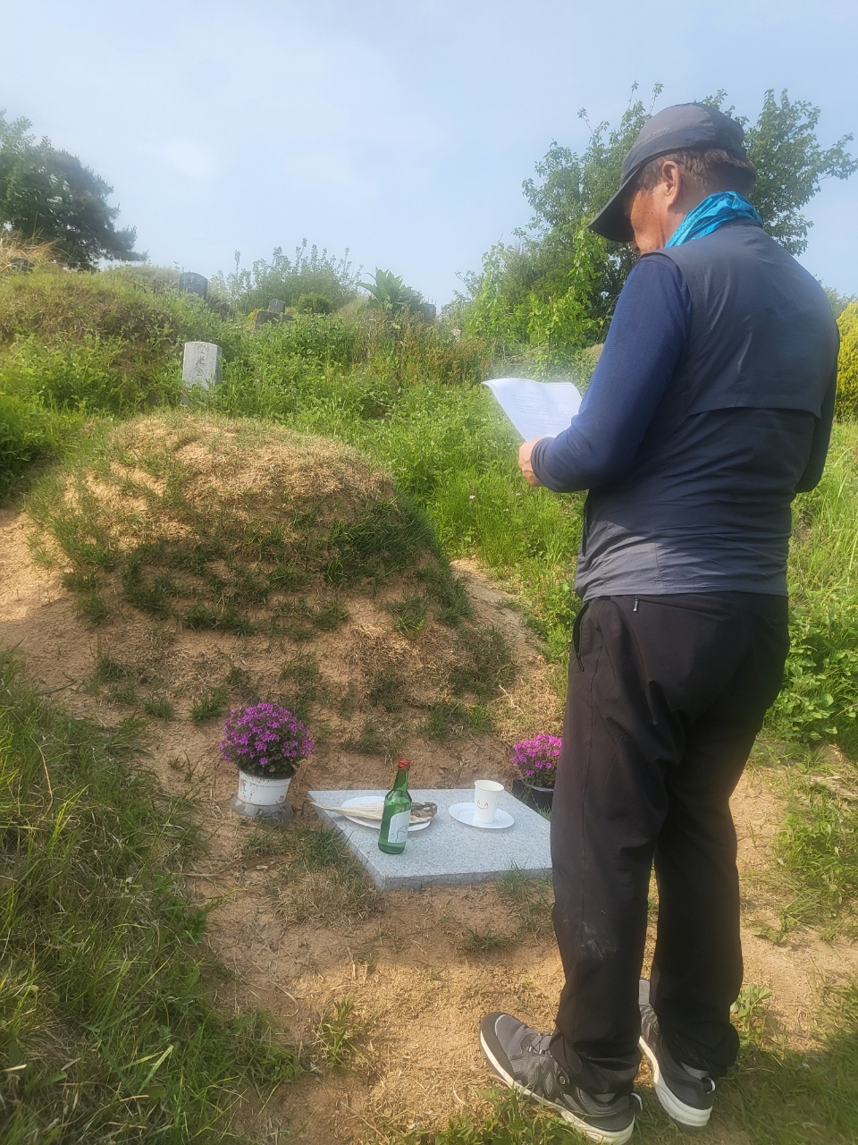 1009묘지이장. 벌초