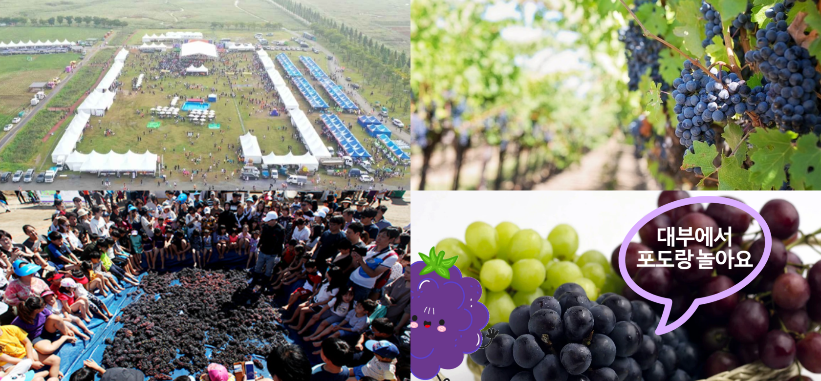 대부도 포도 축제