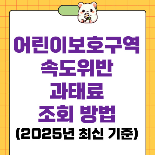 어린이보호구역 속도위반 과태료 조회