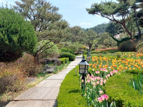금산 가볼만한곳 베스트 10