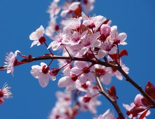 화담숲 예약 8