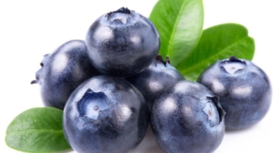 블루베리이미지