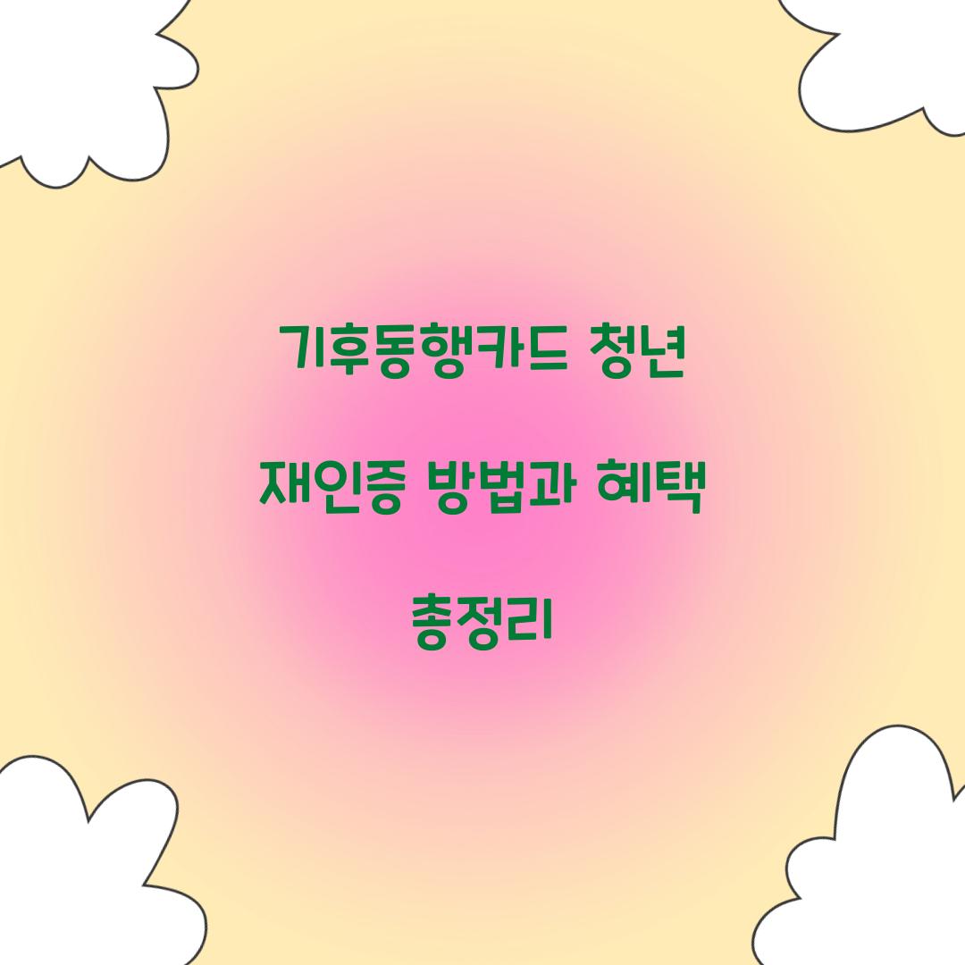 기후동행카드 청년 재인증