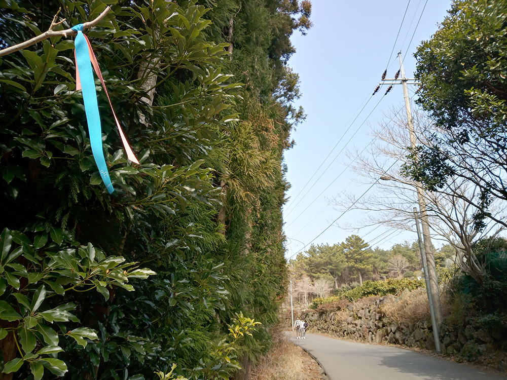 제주살이 #02: 고근산(孤根山&#44; Gogeunsan)