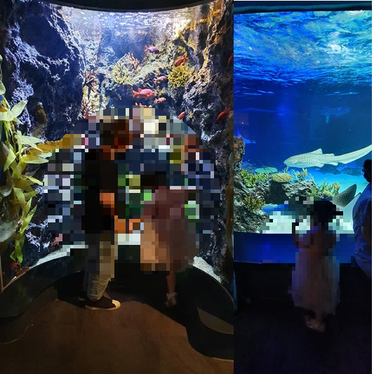 수족관
