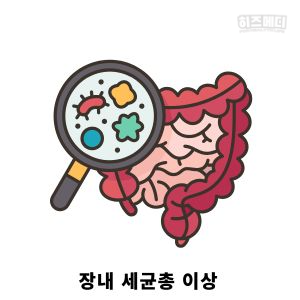 배에 가스가 자주 차는 이유