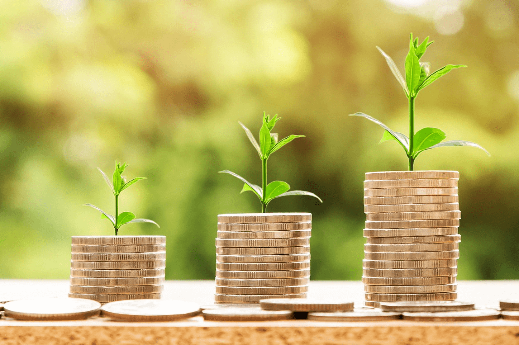 월세 세입자의 재테크 전략, 내집 없이 돈 모으기