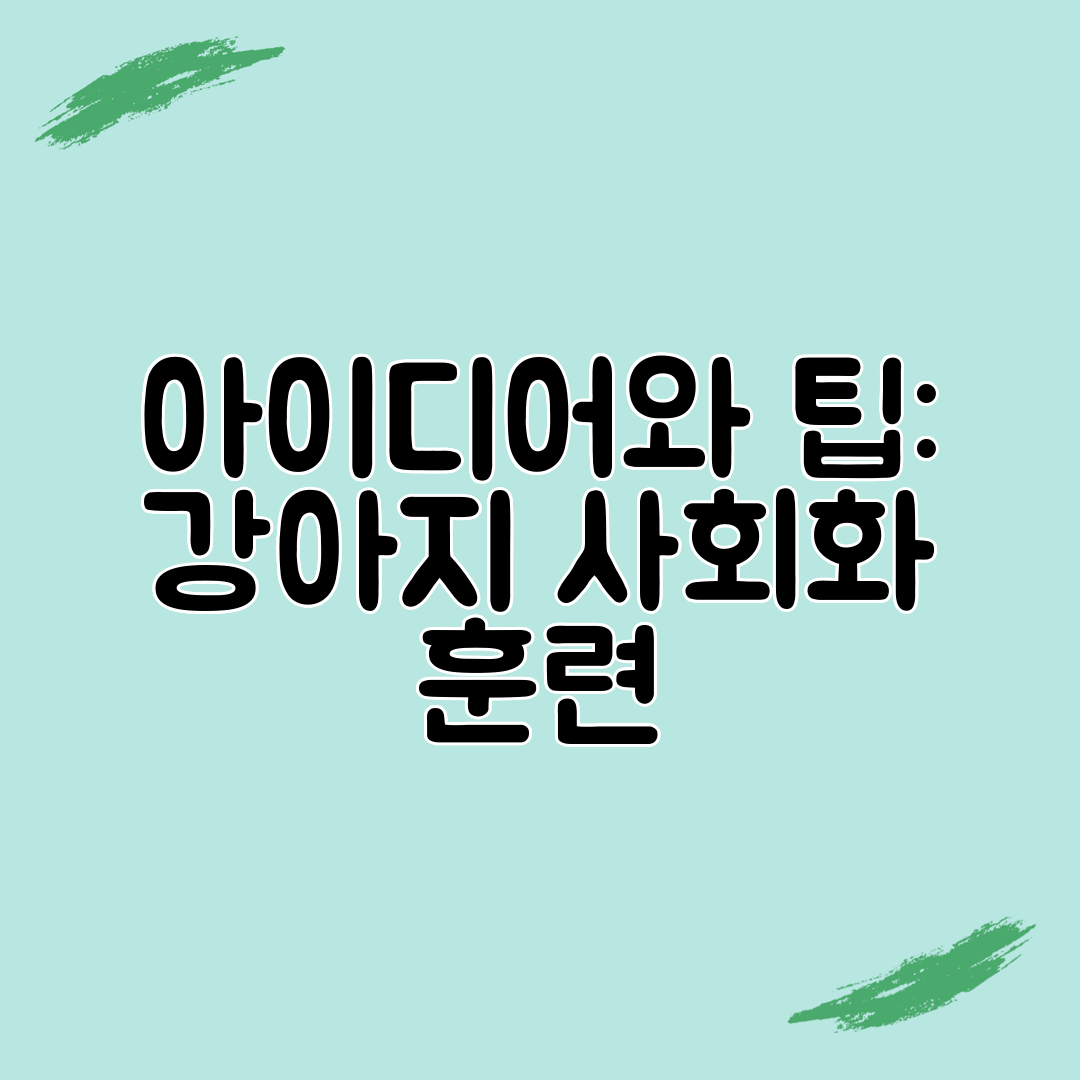 아이디어와 팁 강아지 사회화 훈련