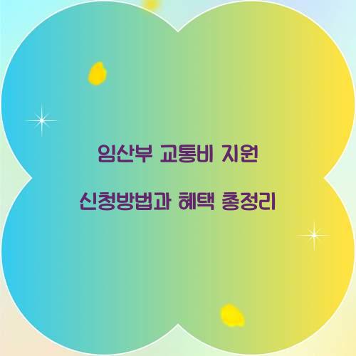 임산부 교통비 지원