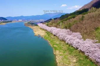 구례 가볼만한곳 베스트10 섬진강 벚꽃길 사성암 드라이브_12