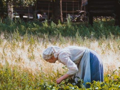 농업인 경영체등록