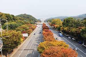 서울 단풍길 96선