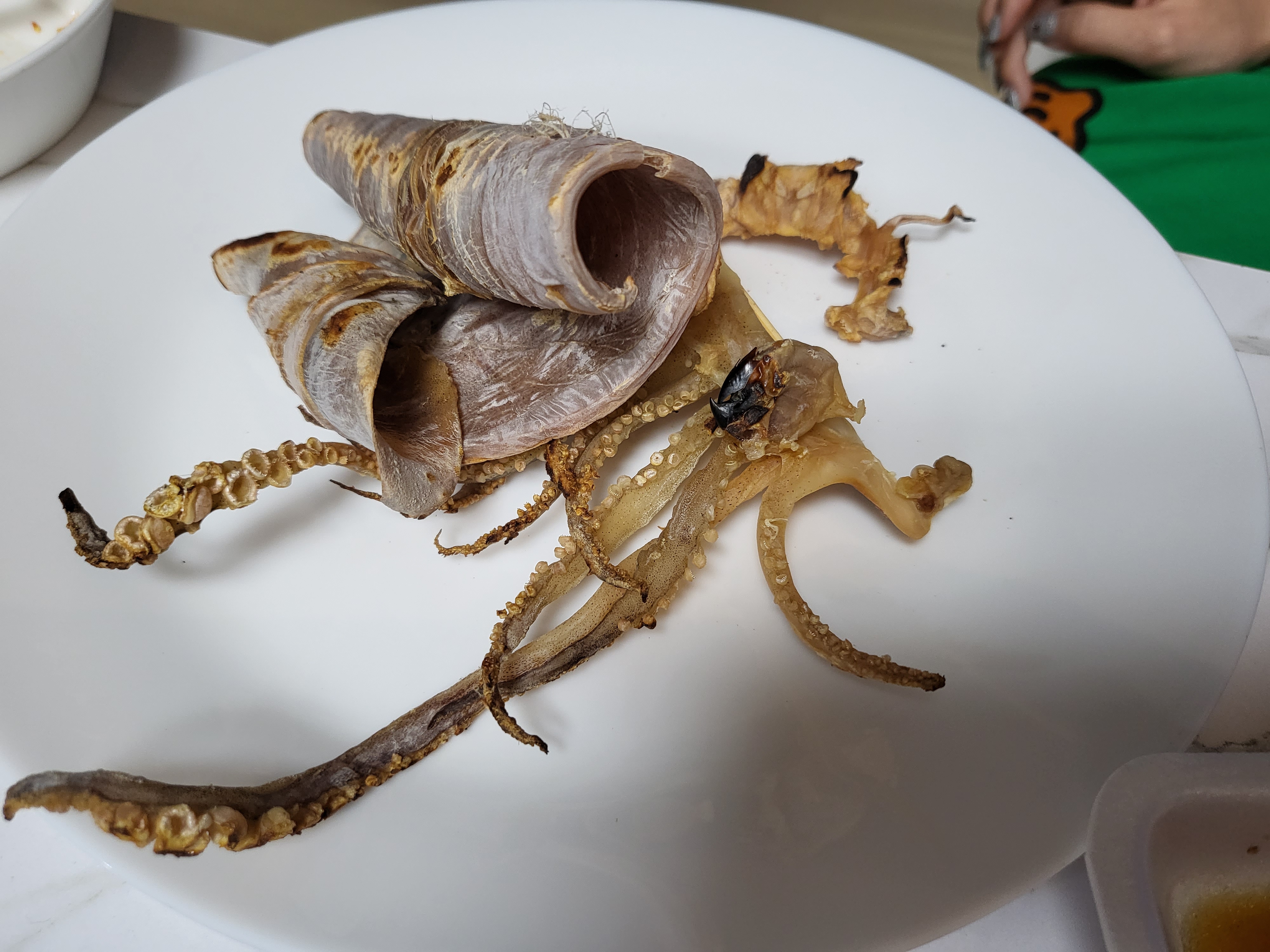 속초 에어앤비 - 속초 오징어