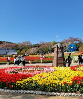 울산 밀양국밥, 6시 내고향 선정