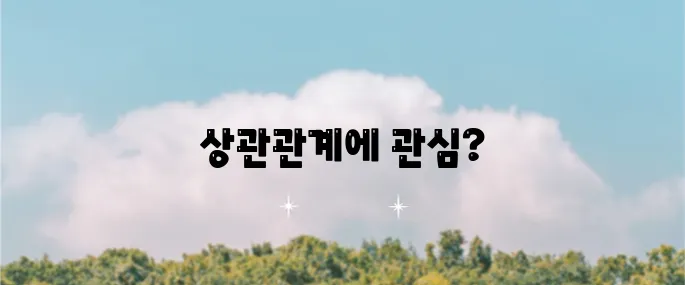 마이크로스트래티지 주가와 비트코인 실적의 연관성 분석