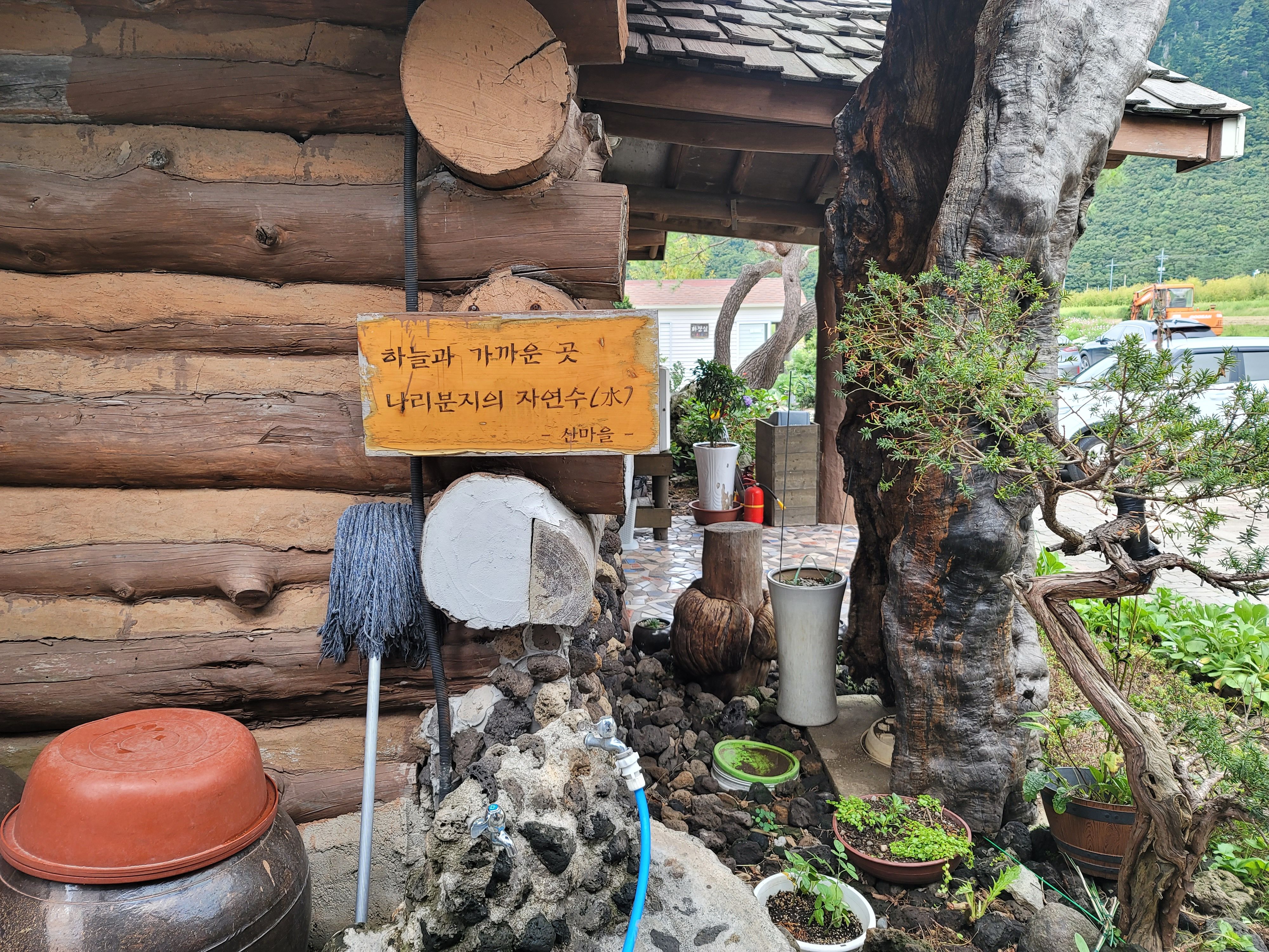 나리분지 맛집 식당, 주차장 숙박 가볼만한곳 총정리