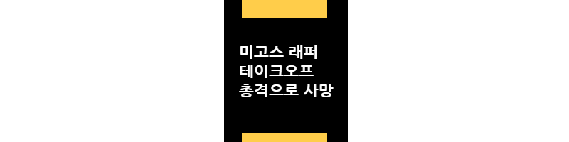 미고스래퍼테이크오프총격으로사망