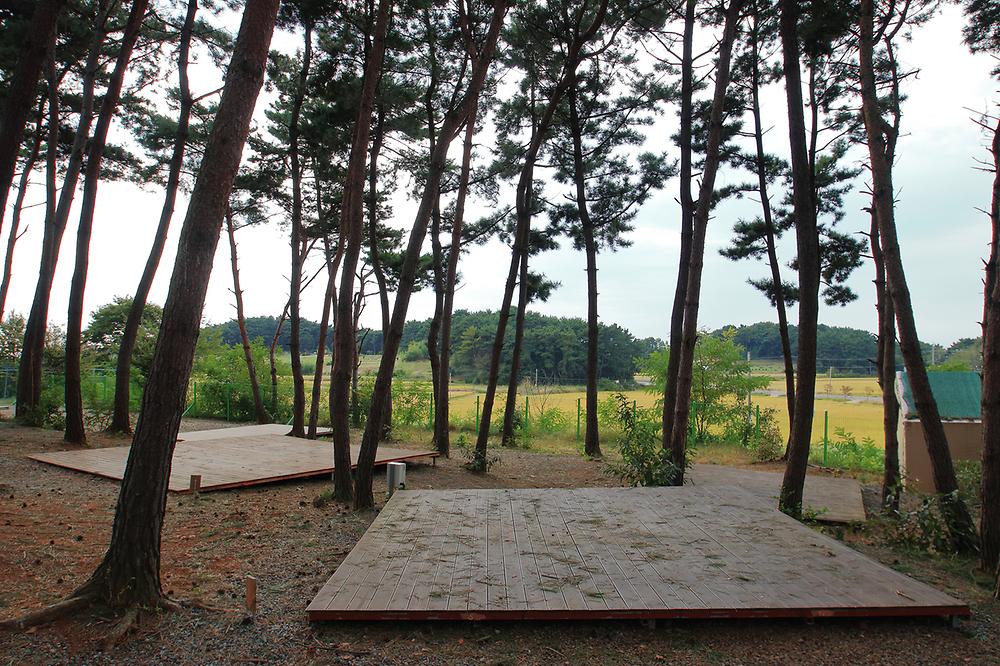 충남 서천 늘푸른캠핑장 소개