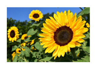 힘이되는 좋은 글귀