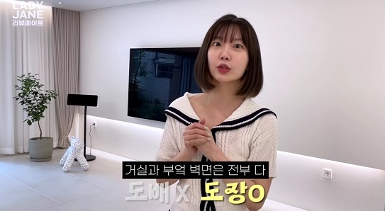 레이디제인 집