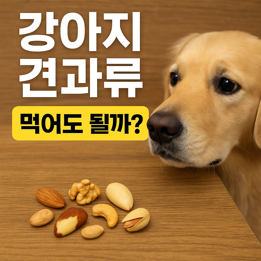 강아지 견과류 먹어도 될까?