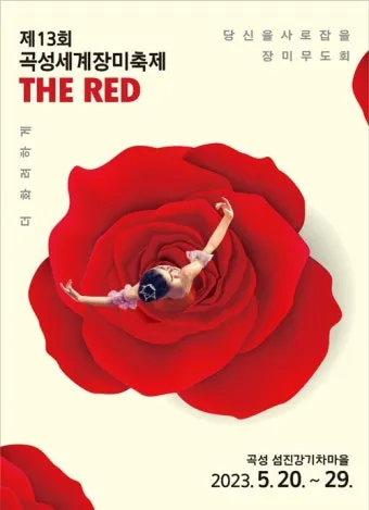 오늘이 아니라면 최적의 개화 시기는 언제인지 곡성세계장미축제에서 확인하세요_19