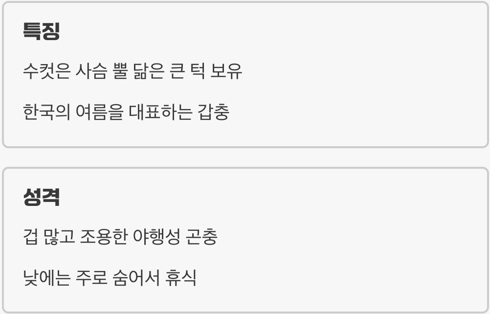 숲속의 작은 장군&amp;#44; &amp;#39;사슴벌레&amp;#39;는 어떤 친구?