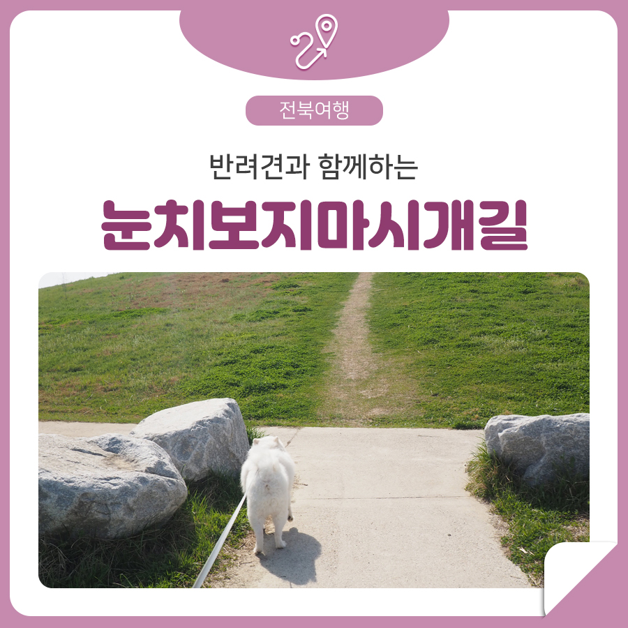 전북 눈치보시지 마시개길