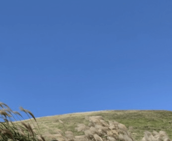 공동구매 항공권 하나투어 예약 및 취소