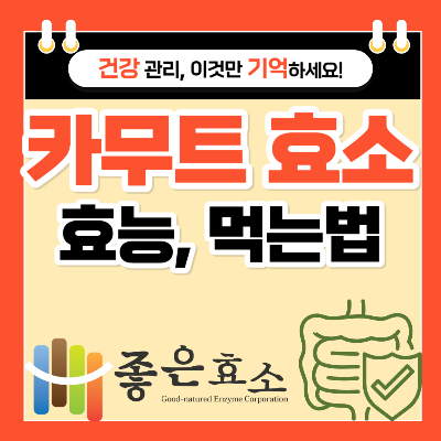 카무트효소 효능