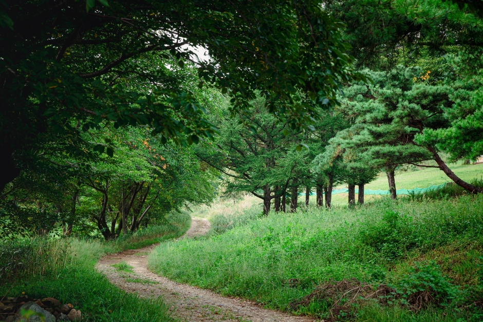 경주 가볼만한곳 베스트10