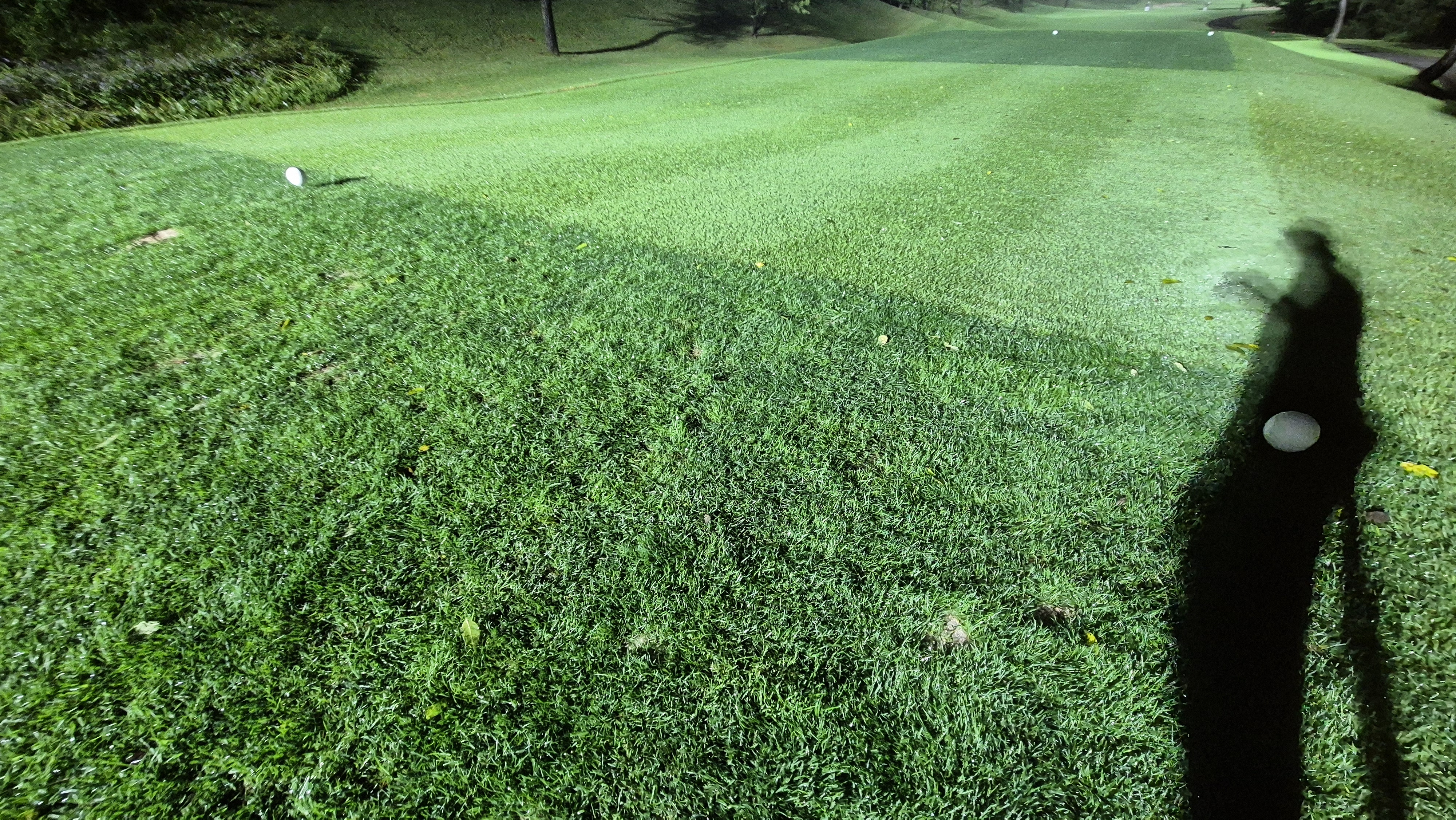 블루원용인cc 티잉구역상태
