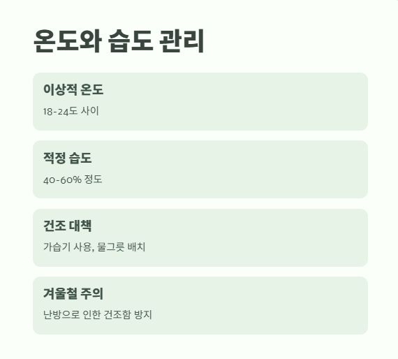 행운목 키우는 방법 바로 보기 6