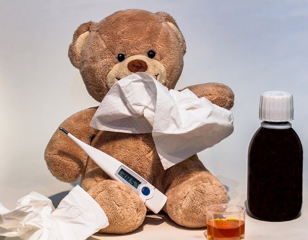 감기의 증상 및 감기에 좋은 음식, 과일, 차