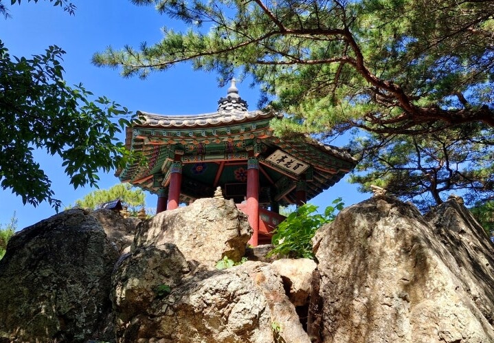 낙화암위백화정