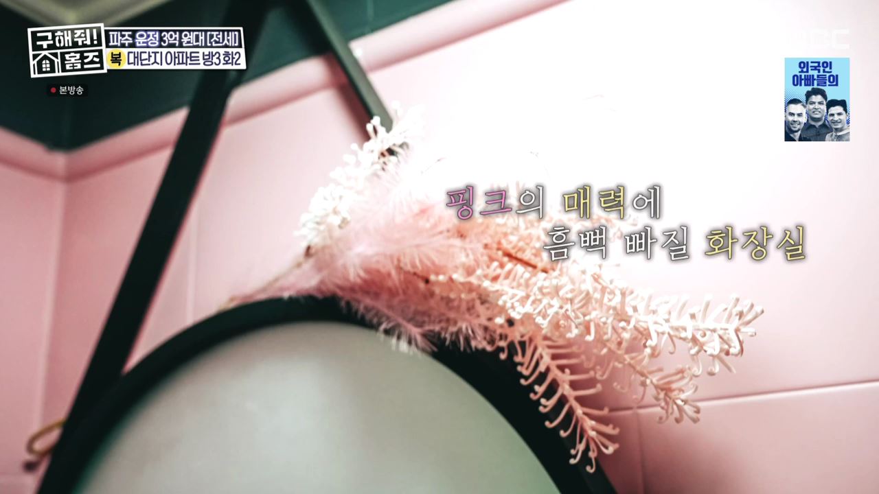 구해줘홈즈 고양 일산 파주 은평구 꽉잡아통창 윤기나는고양 인생세컷하우스 3분슛아파트 파주지앵하우스 신기루방기루 반반하우스 매물