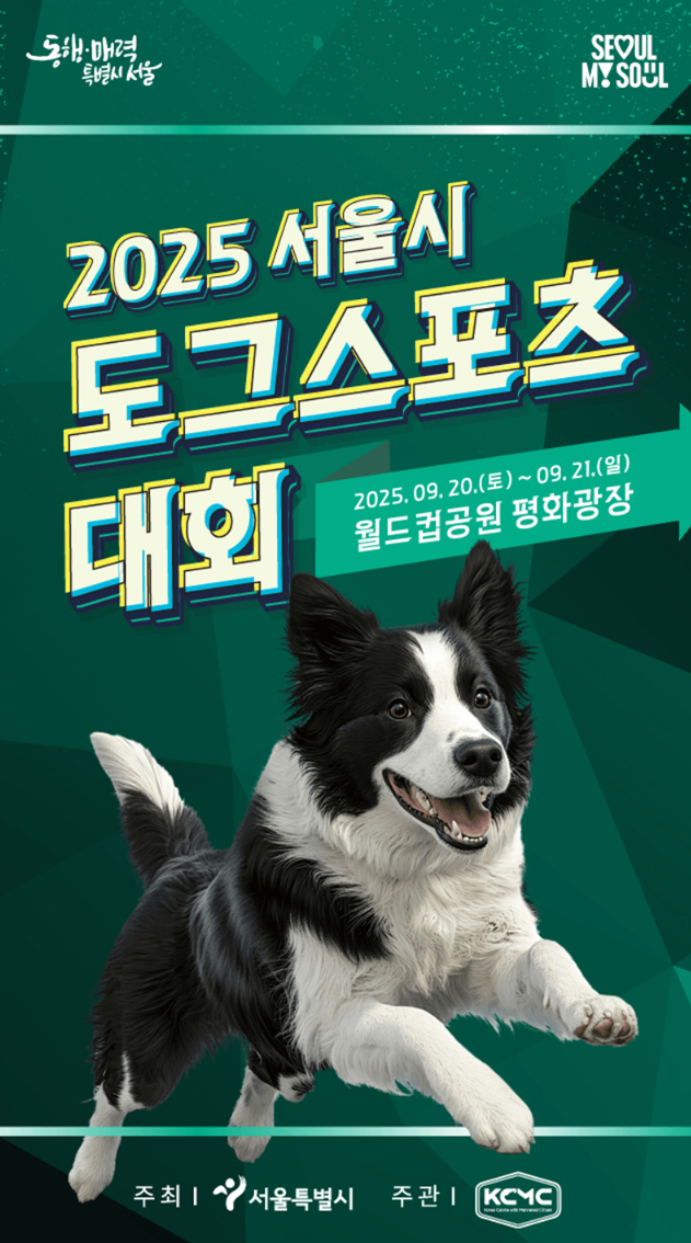 서울 도그스포츠 대회 2025