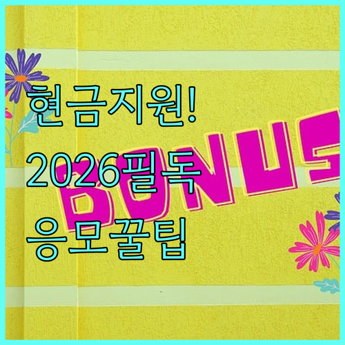 2026년 주요 카드사 신규 회원 현..