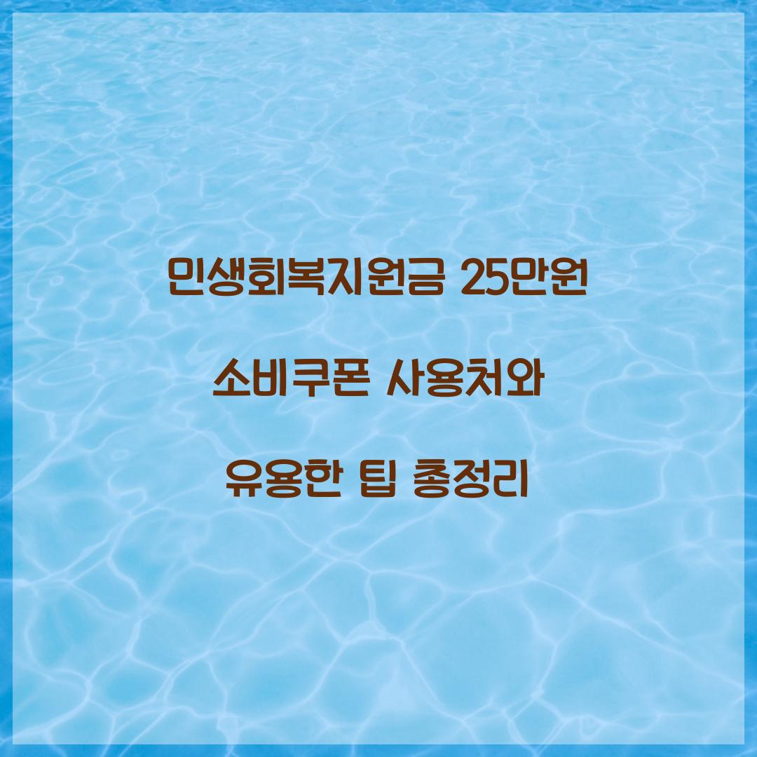 민생회복지원금 25만원 소비쿠폰 사용처
