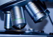 신라젠 주가 전망 | 신라젠(SJ-607) 국내 특허 등록! 주가 상승 기대?