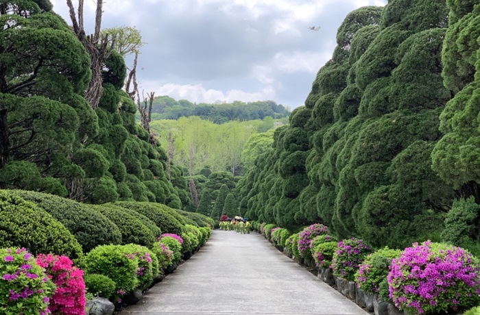 베어트리파크 철쭉제 '봄과 철쭉' (출처:한국관광공사)