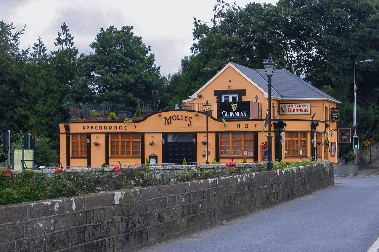 아일랜드 펍 사진