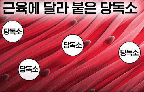 당독소 많은 사람의 특징 5가지! 체크리스트