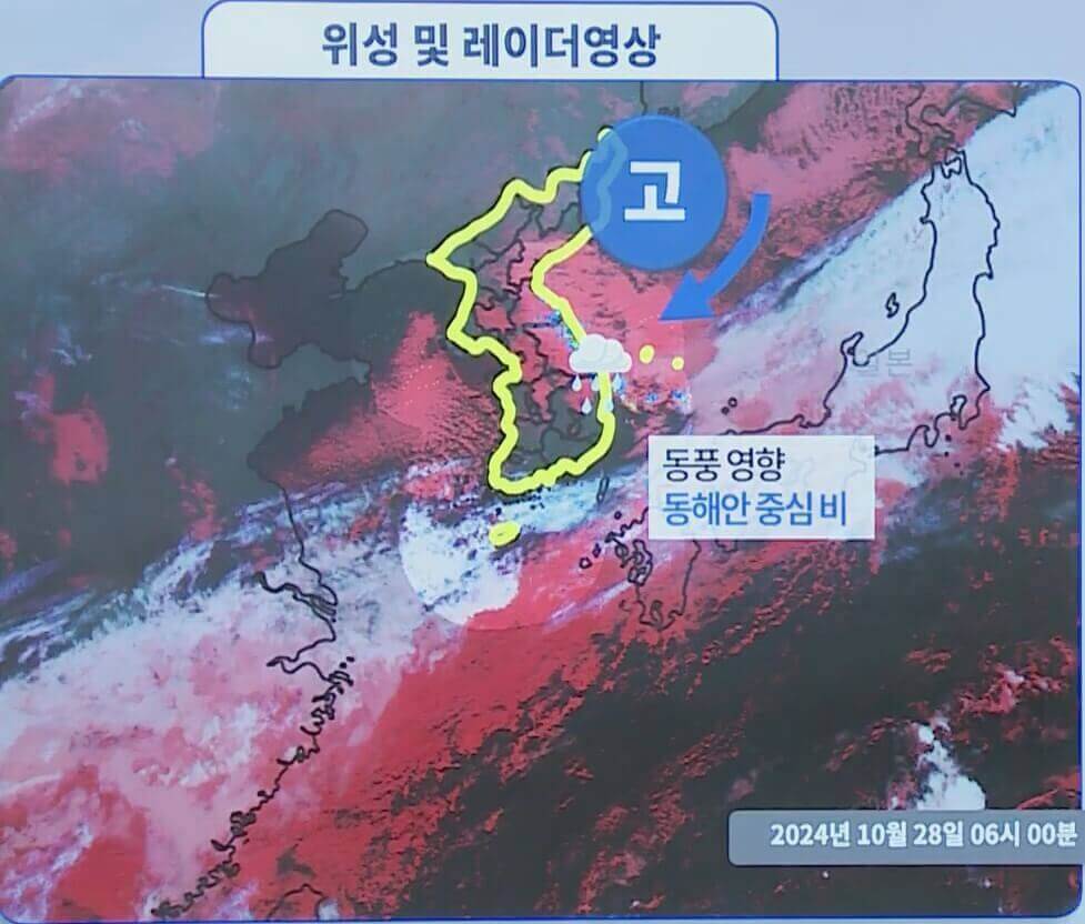위성영상